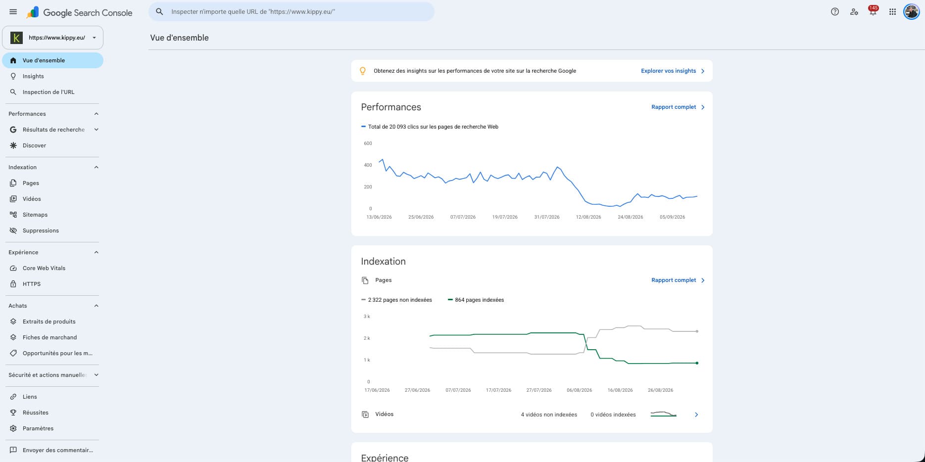 Diagnostic SEO Kippy dans Google Search Console avec chute du trafic organique en août 2026